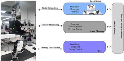 Long-Term Social Human-Robot Interaction for Neurorehabilitation: Robots as a Tool to Support Gait Therapy in the Pandemic